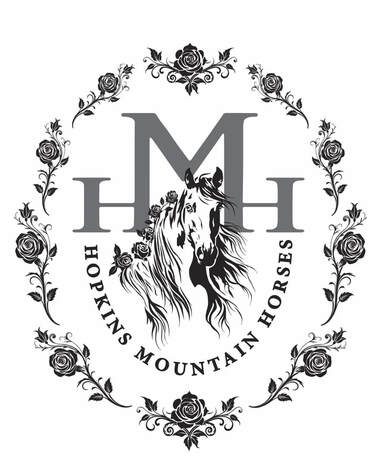 PROVIDING Quality Rocky Mountain Horses TO the Midwest